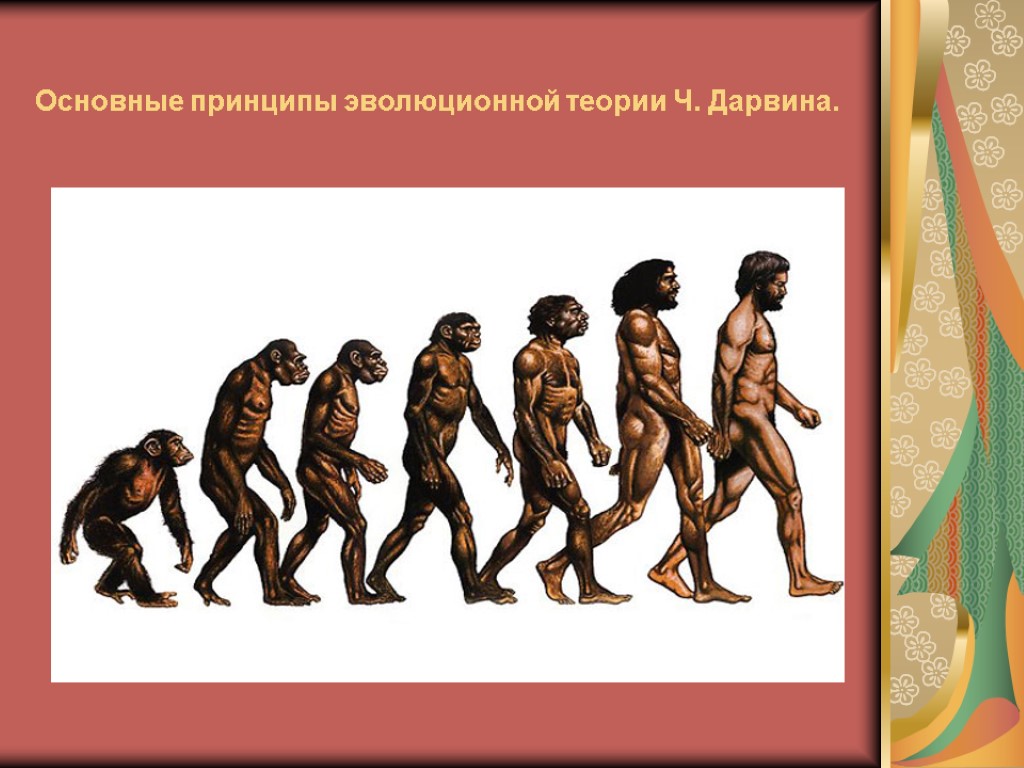Основные принципы эволюционной теории Ч. Дарвина.